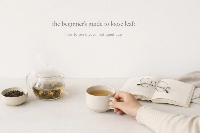 the beginner's guide to loose leaf: how to brew your first quiet cup
